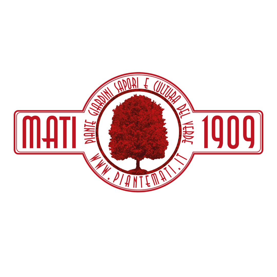 Image of Mati 1909