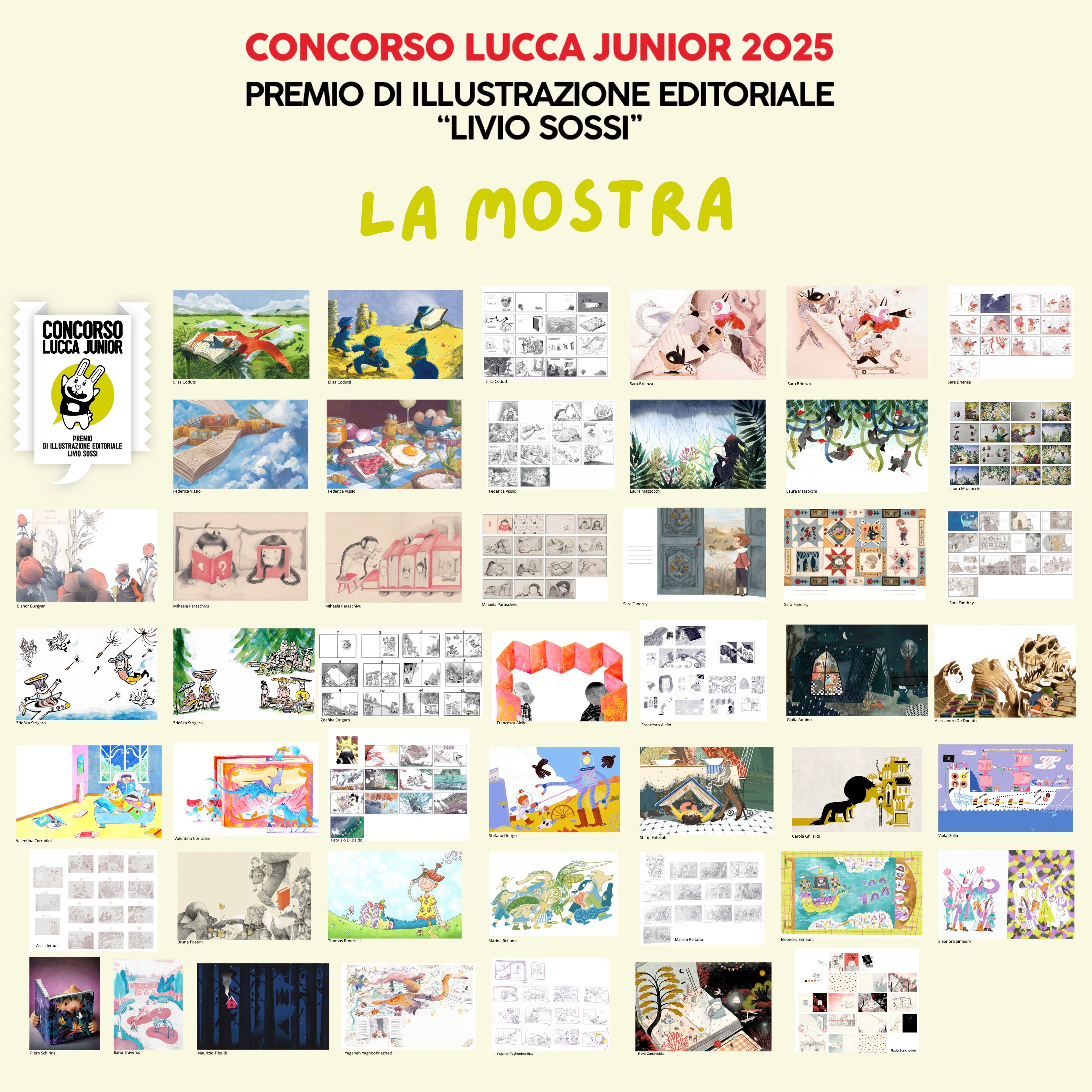 Image of I concorsi di Lucca Junior