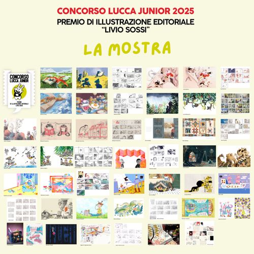 Image of I concorsi di Lucca Junior